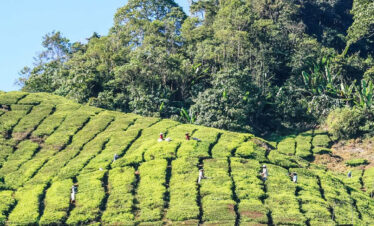 Malaysia Highlights 7 nights 8 days